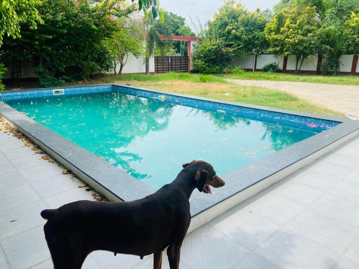 Le Grace ECR Chennai Extérieur photo
